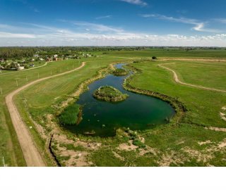 Terrenos - Iriondo - Venta