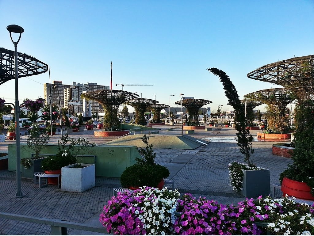 Venta Terreno La Florida - Región Metropolitana