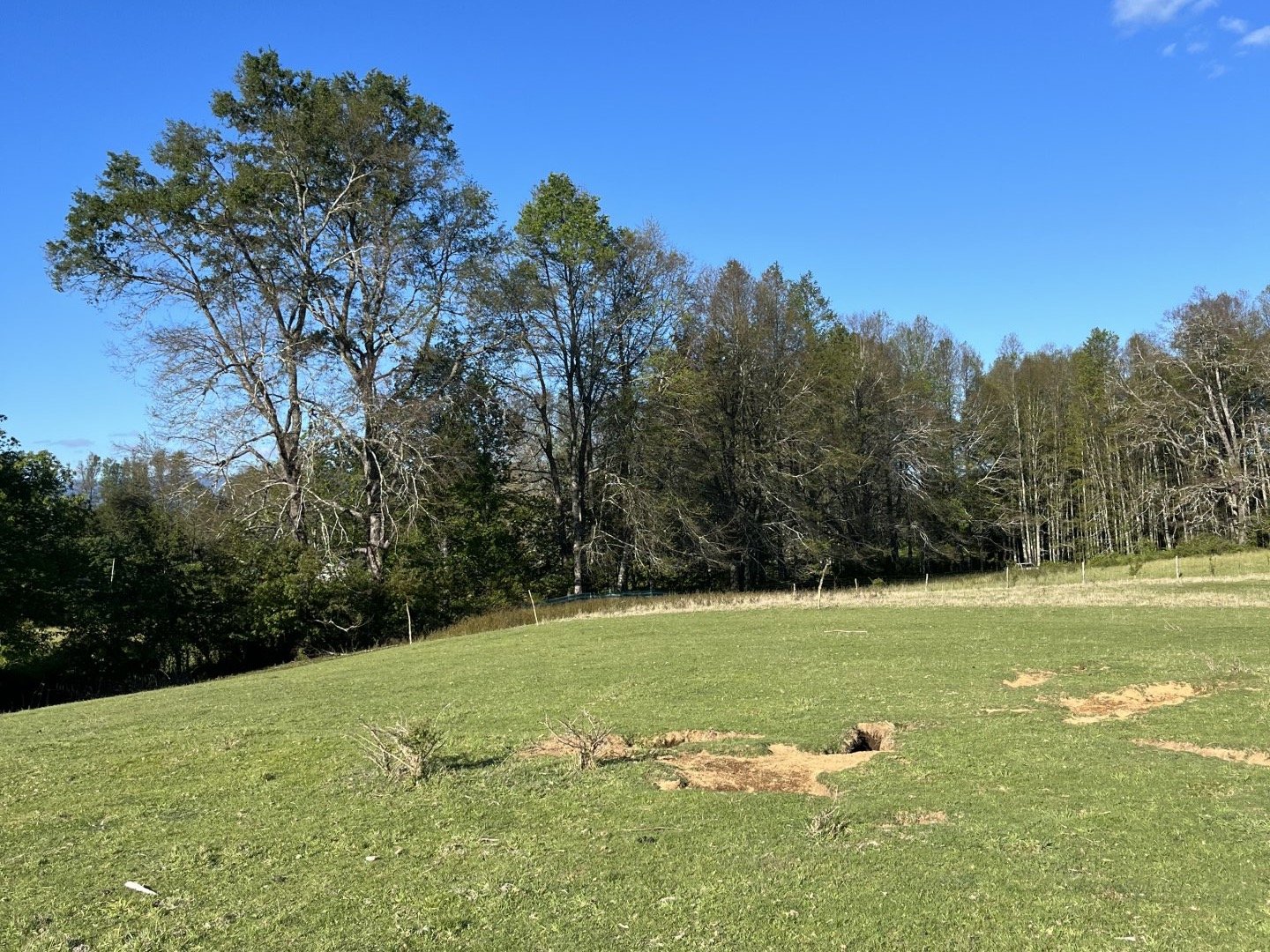 Venta Terreno Pucón - La Araucanía