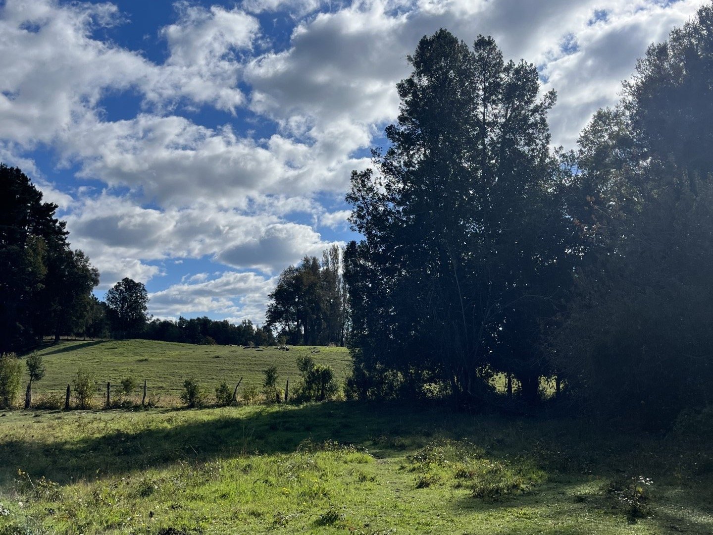 Venta Terreno Pucón - La Araucanía