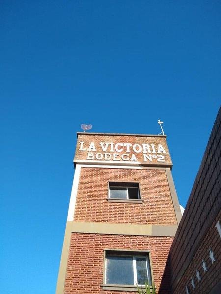 12 de 17