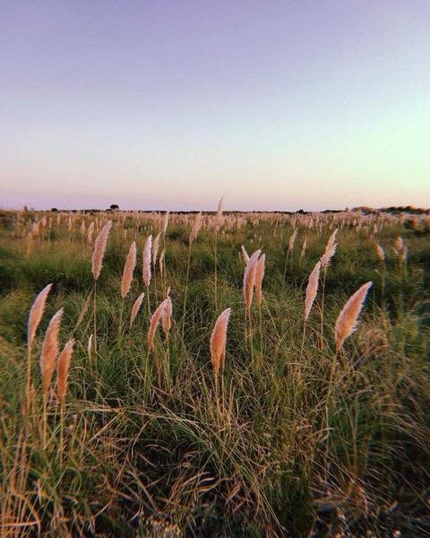2 de 11