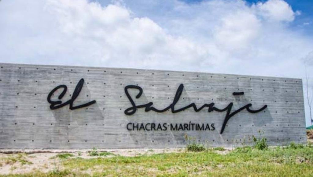 4 de 4