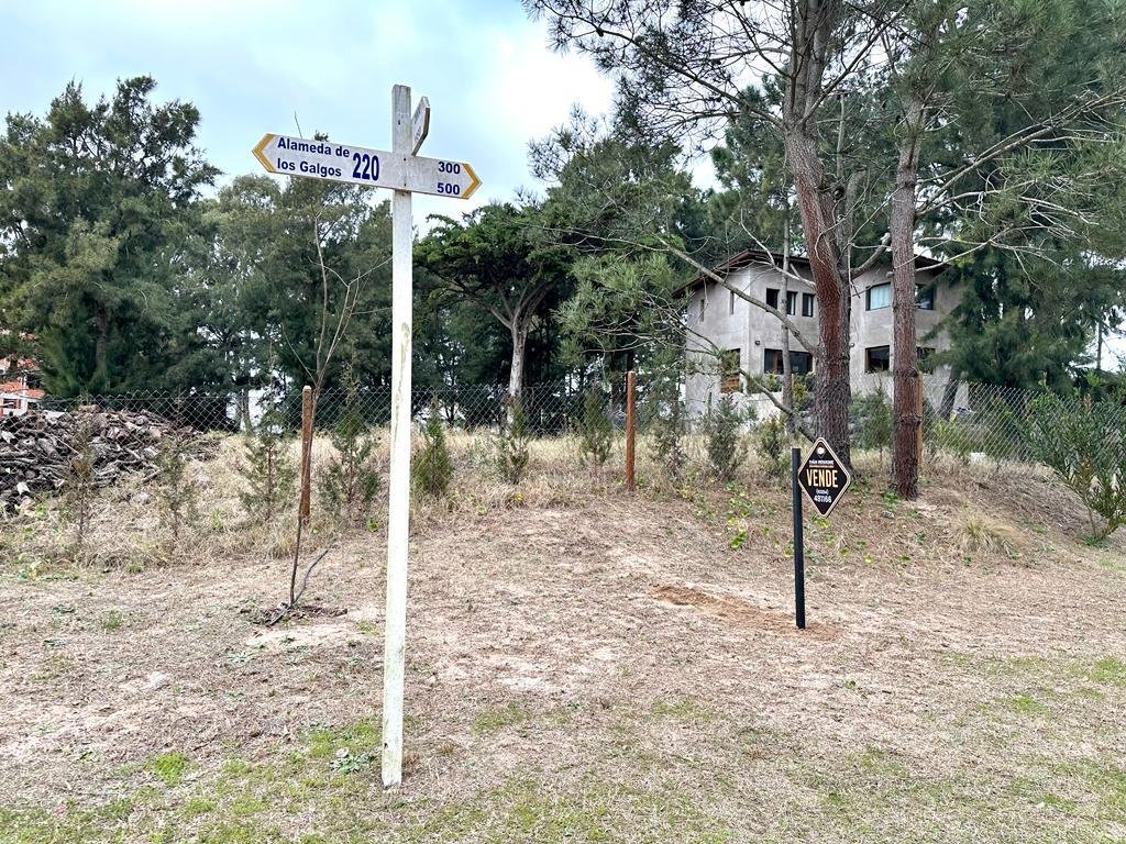 2 de 6
