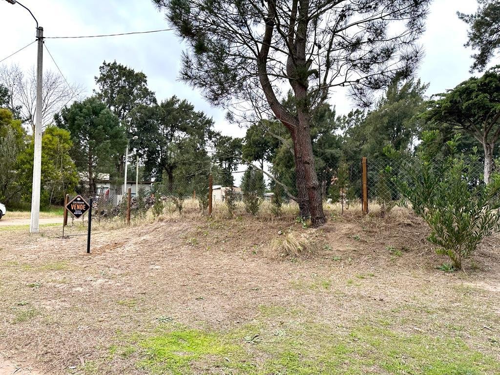 2 de 6
