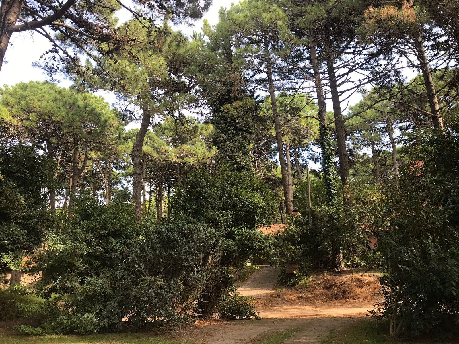 14 de 71
