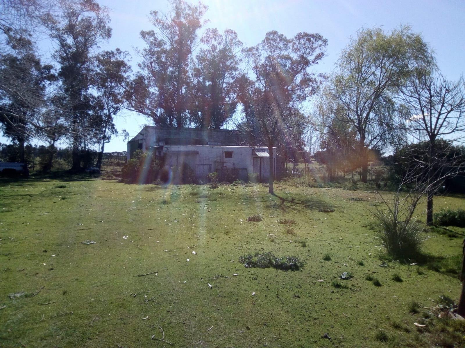 5 de 10