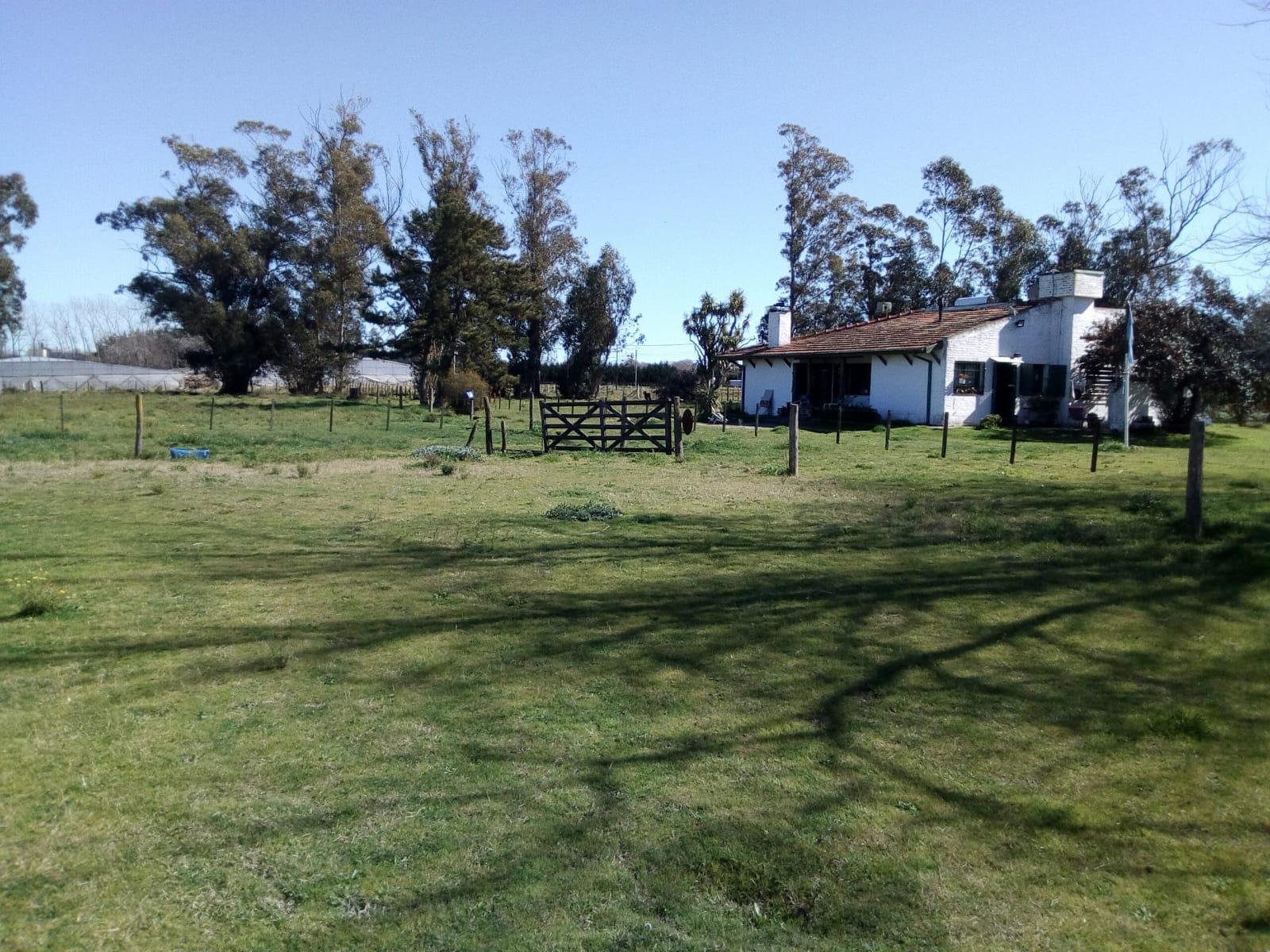 9 de 10
