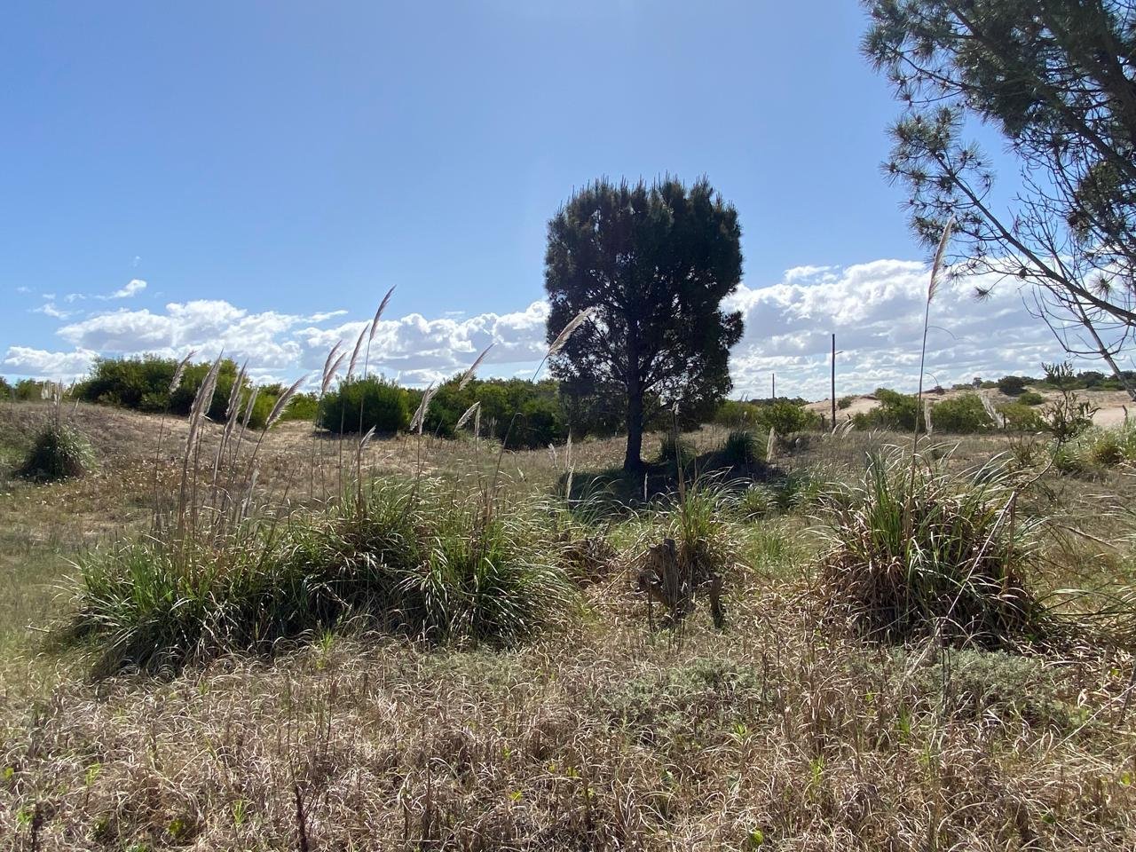 8 de 9
