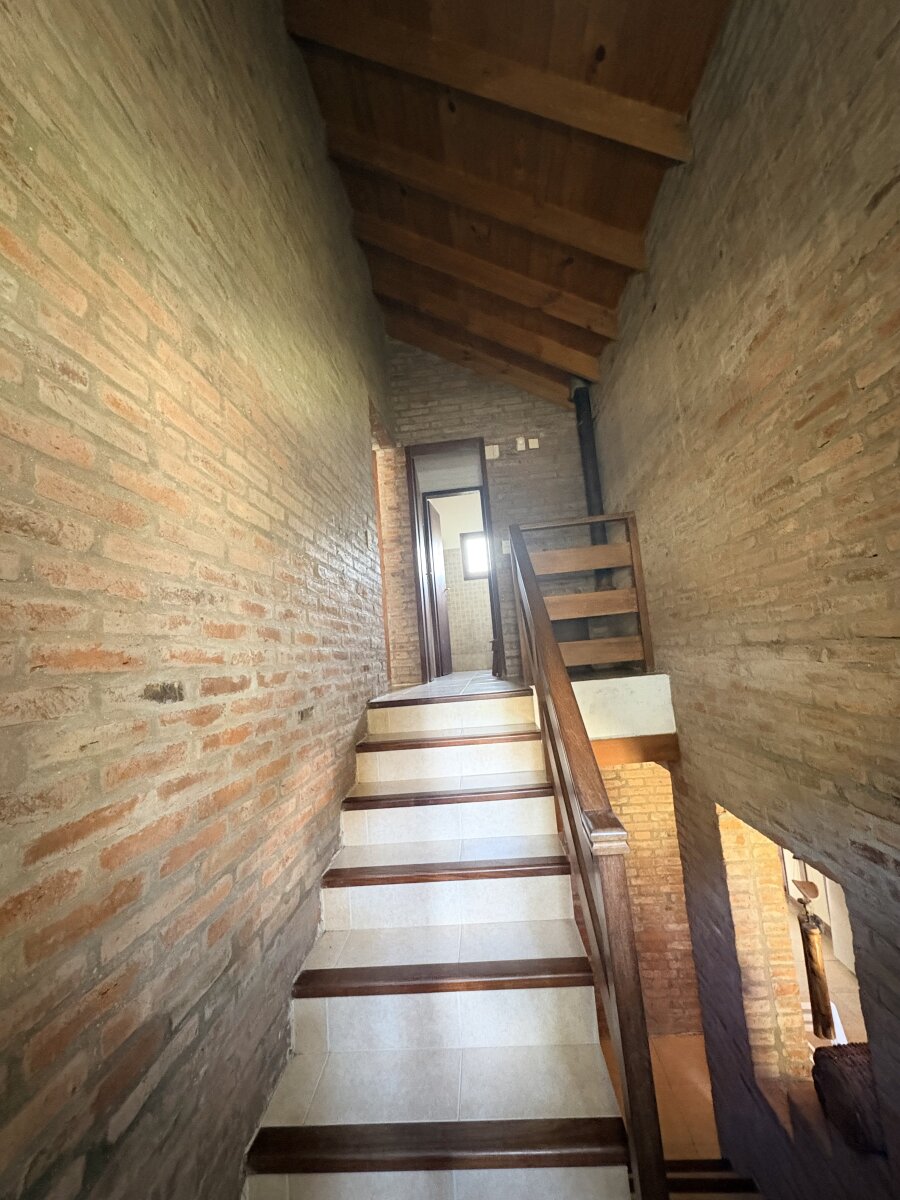 Casa en alquiler temporal - Odisea 642 - Pinamar Norte — foto 9