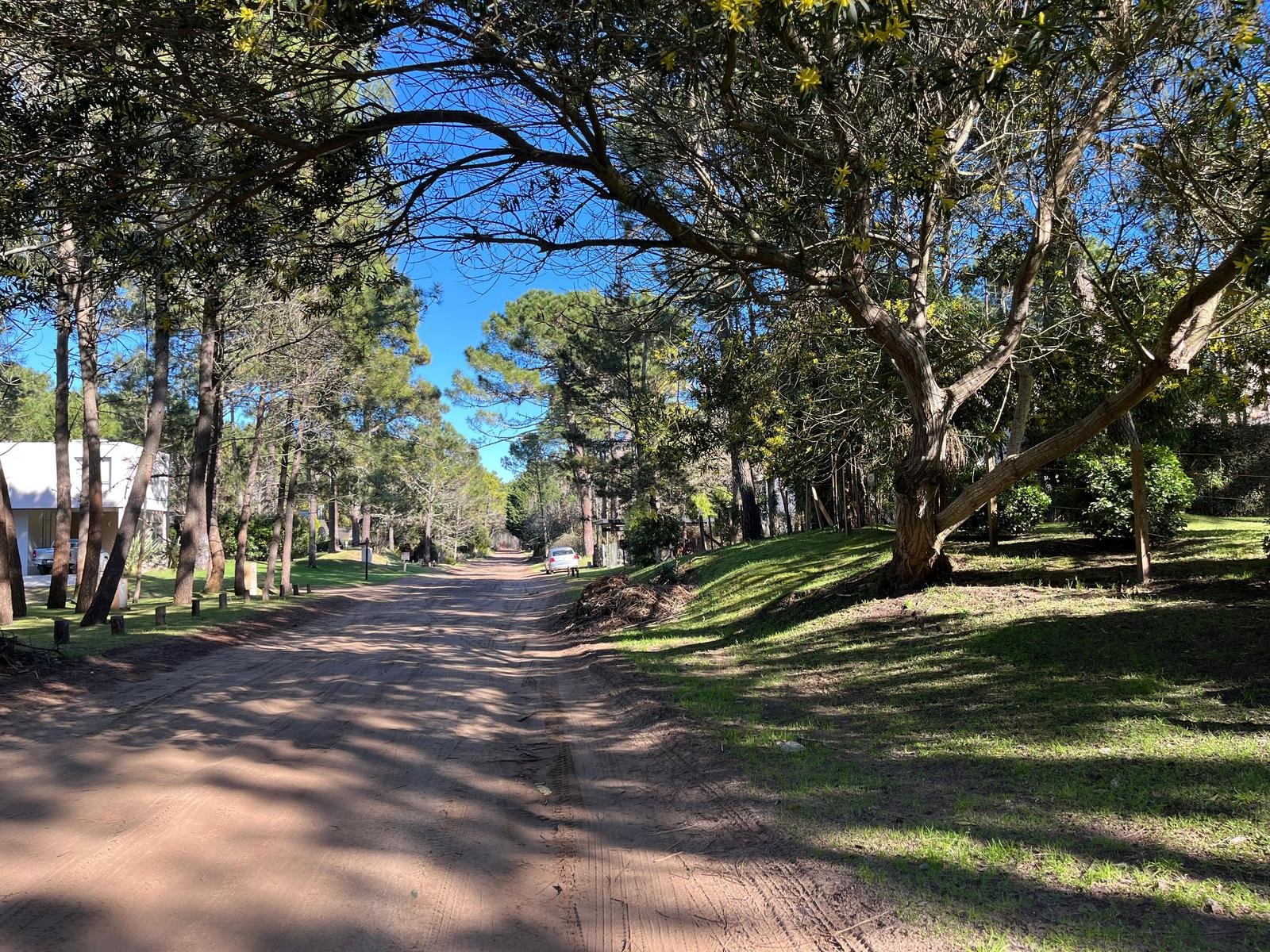 35 de 35