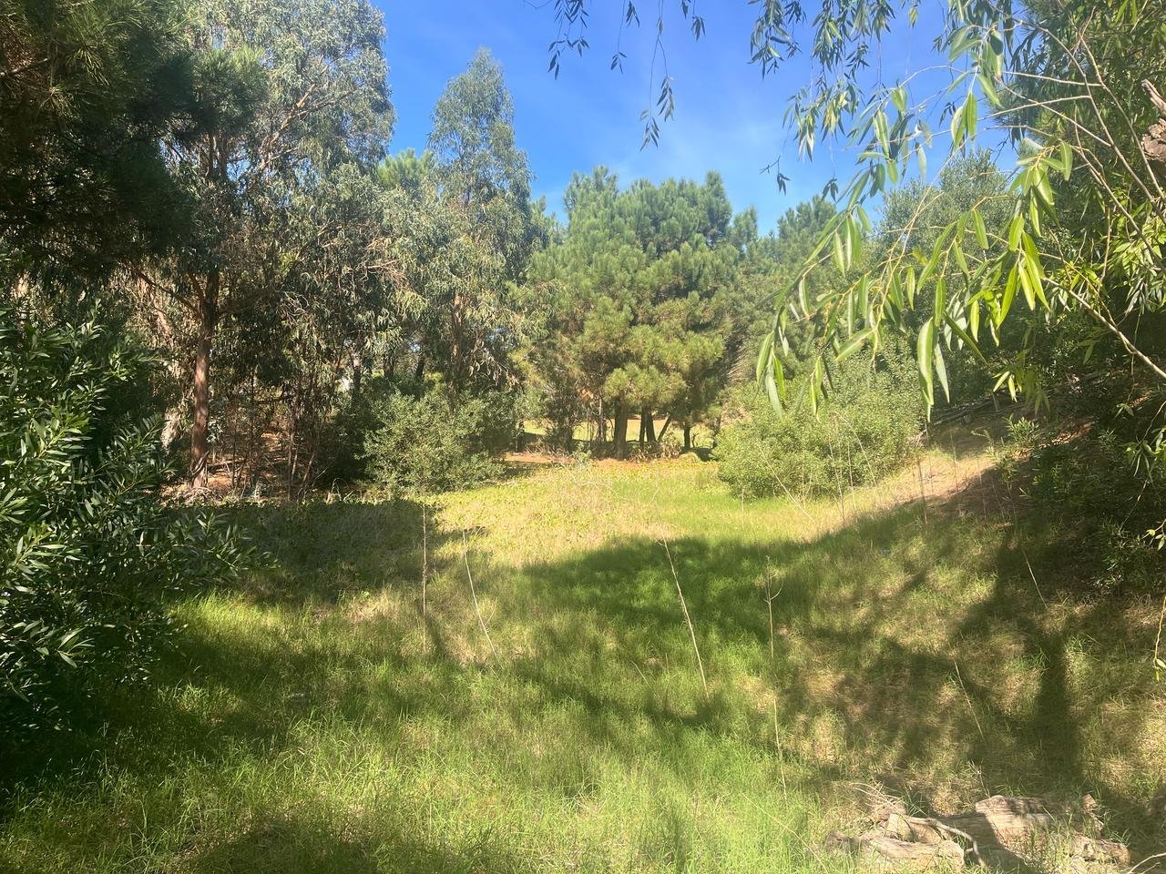 11 de 15