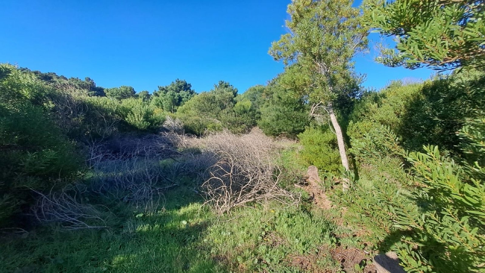 4 de 5