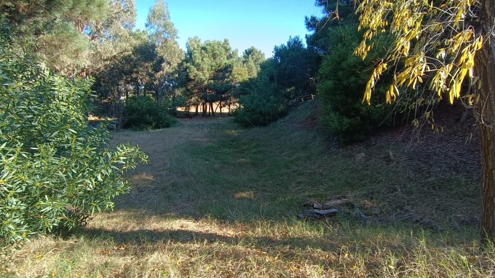 5 de 9