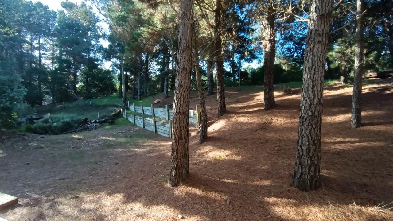 20 de 45
