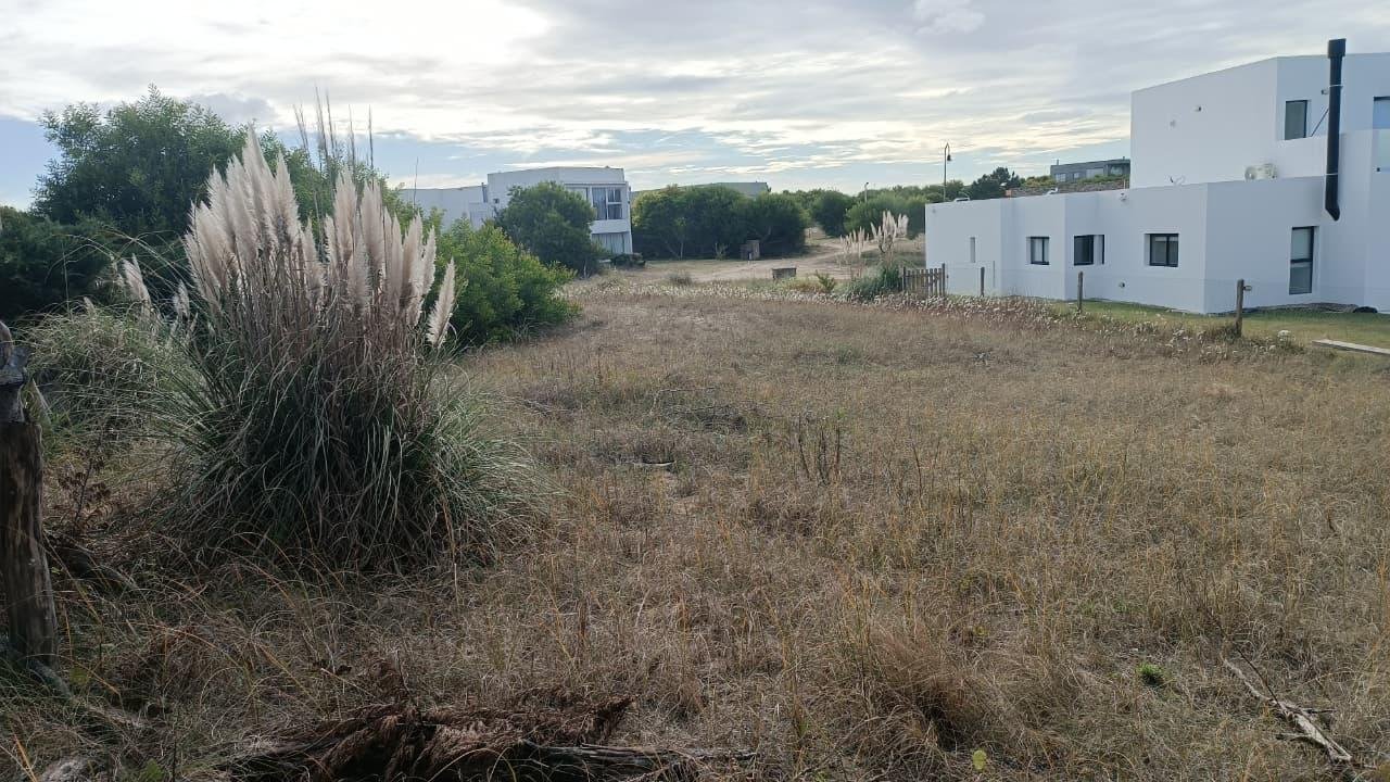 4 de 8