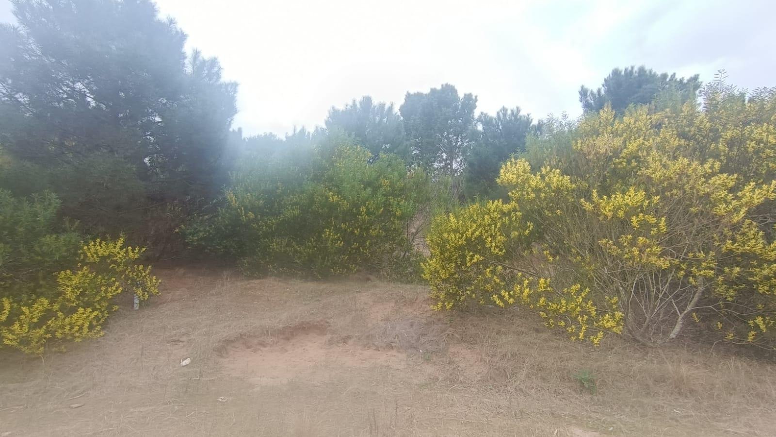 5 de 5