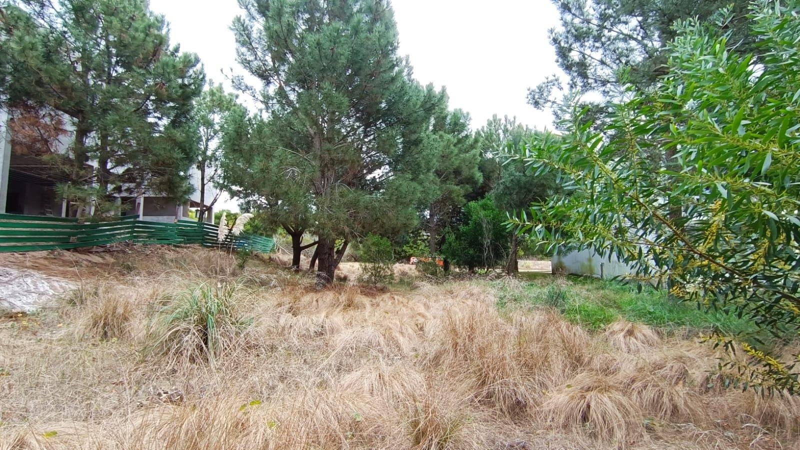 3 de 5