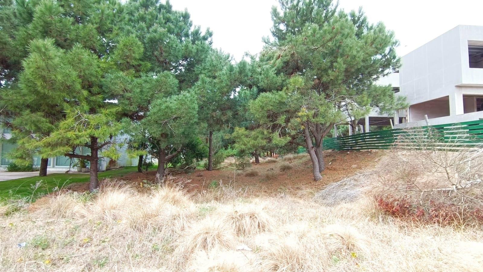 4 de 5