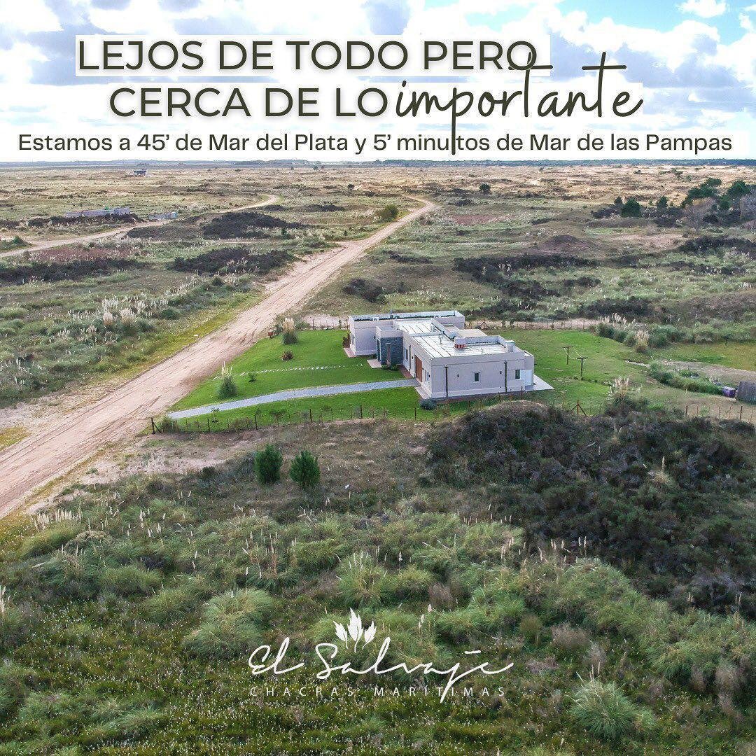 11 de 11