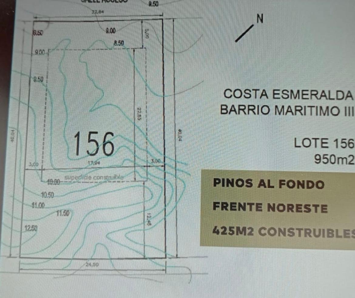 12 de 13