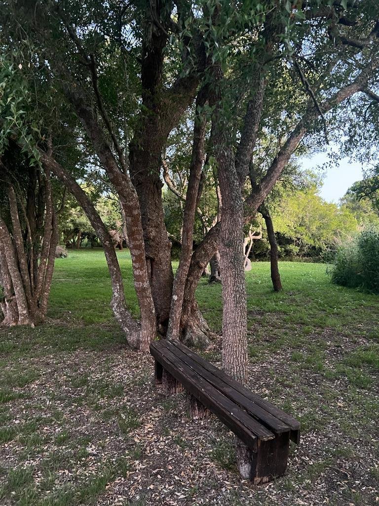 31 de 33