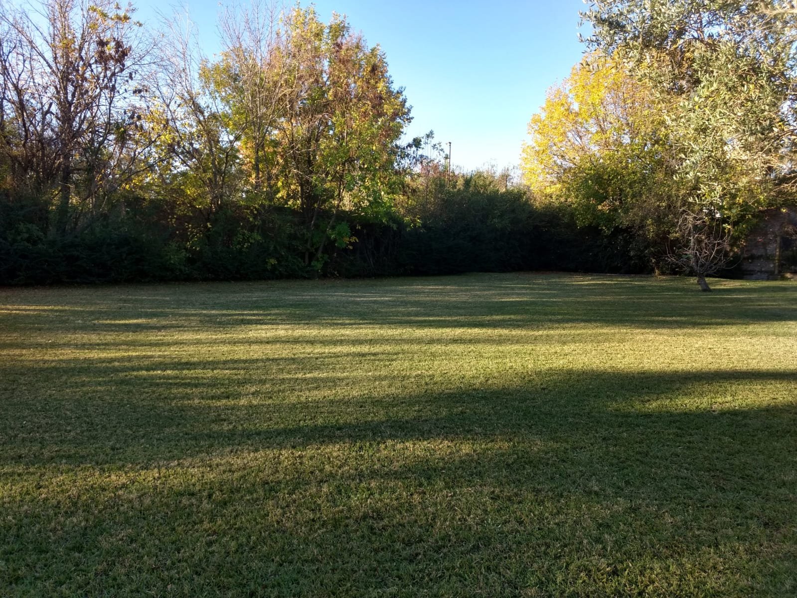 fotso desde el terreno