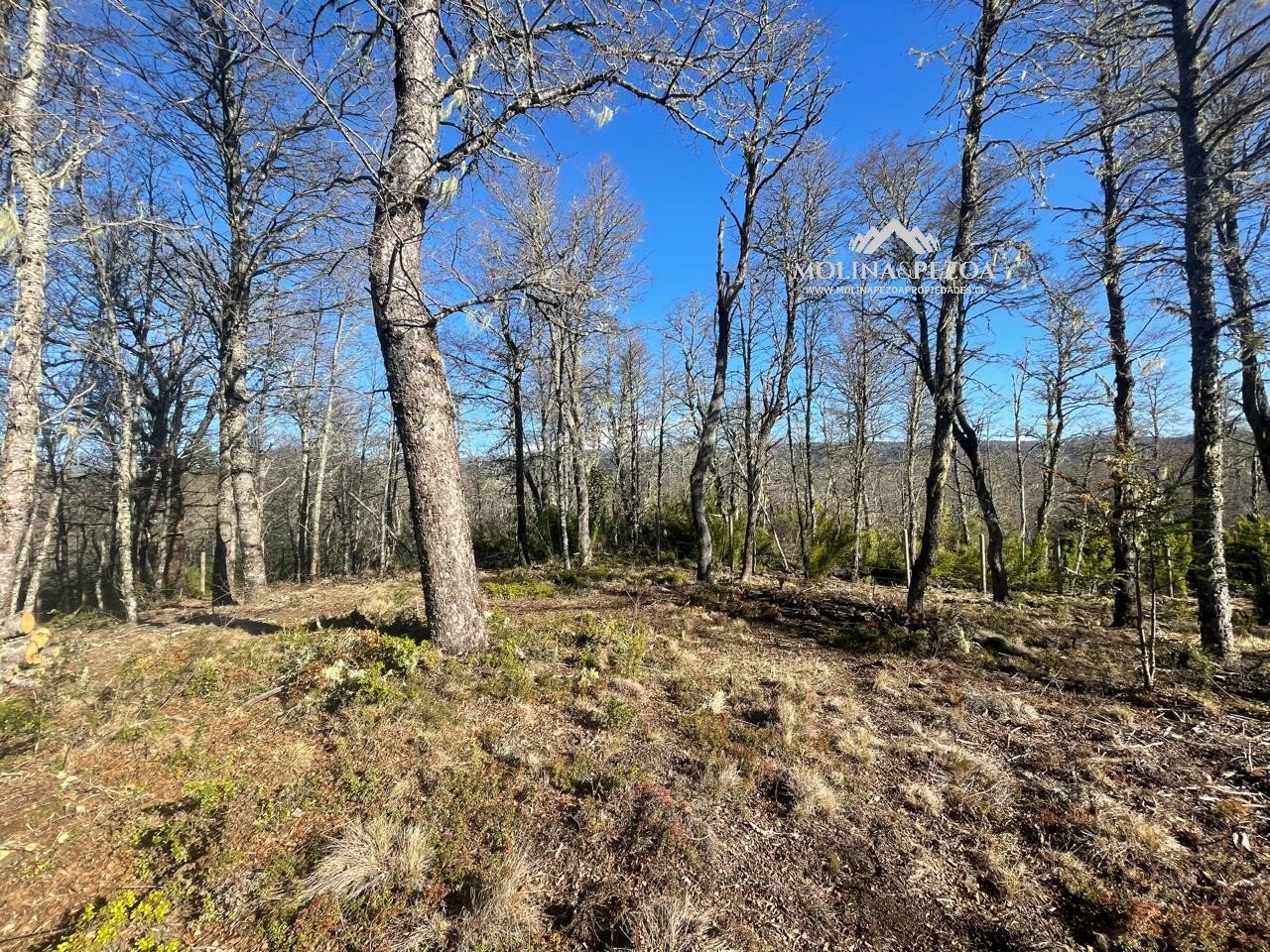 Venta Terreno Curacautín - La Araucanía
