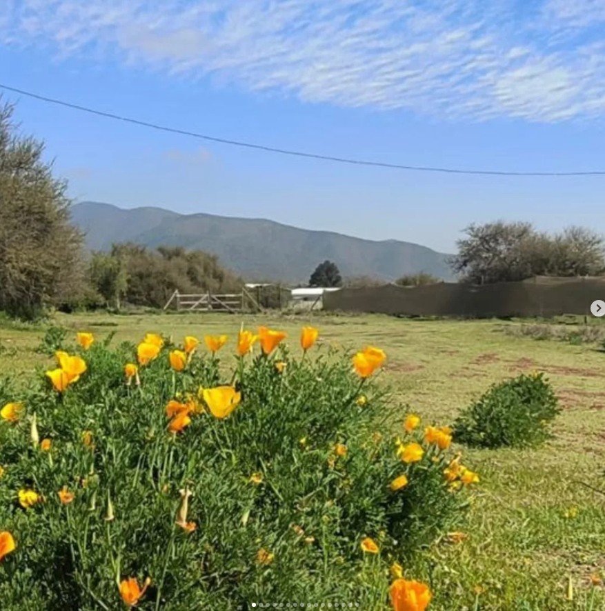 Venta Terreno Curacaví - Región Metropolitana