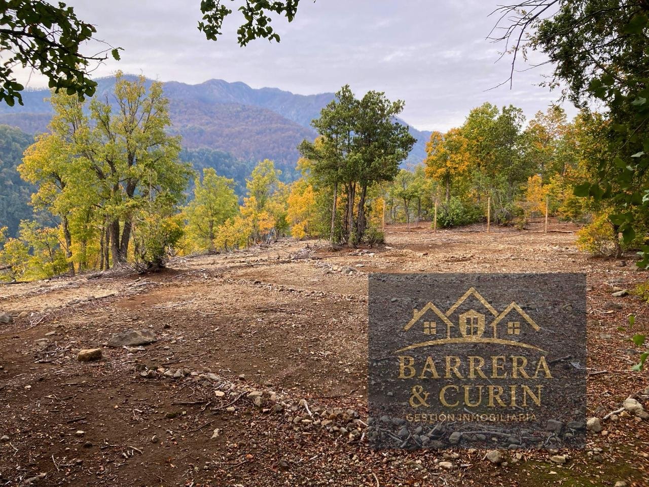 Venta Terreno Longaví - Maule