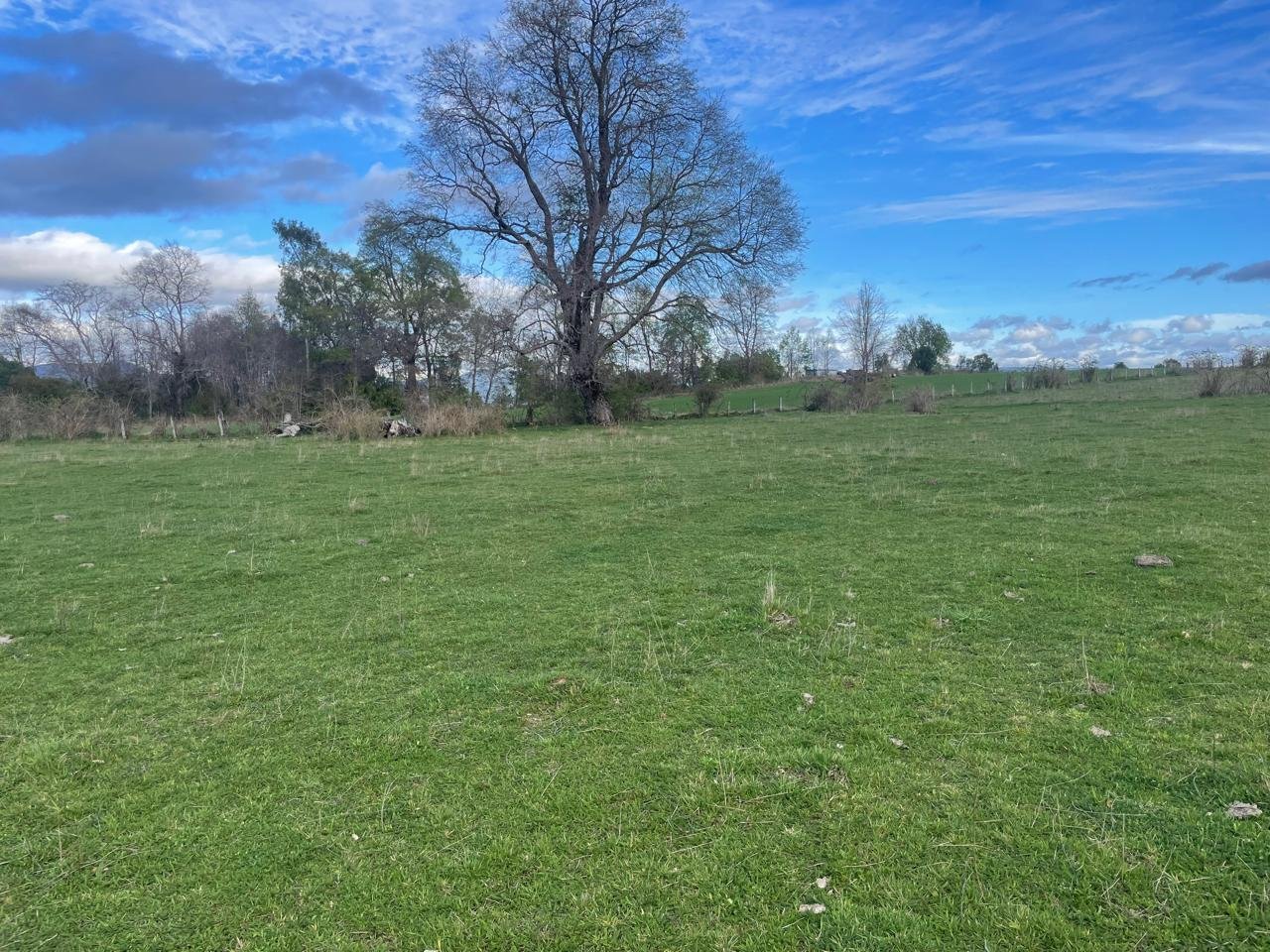 Venta Terreno Curacautín - La Araucanía