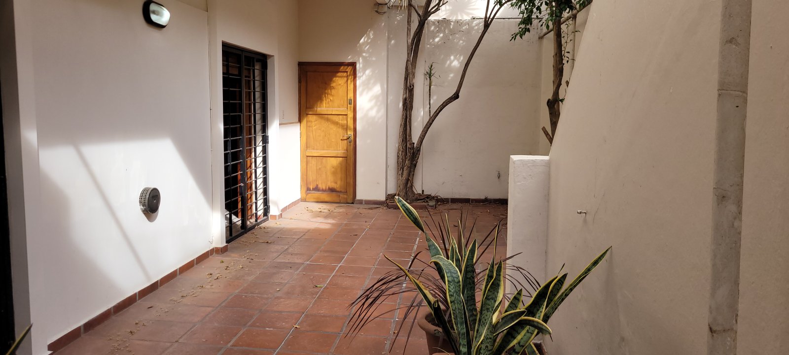 CASA AL FRENTE EN ARROYITO, AMBIENTES AMPLIOS,PATIO,TERRAZA . FERREYRA 1180. — foto 10