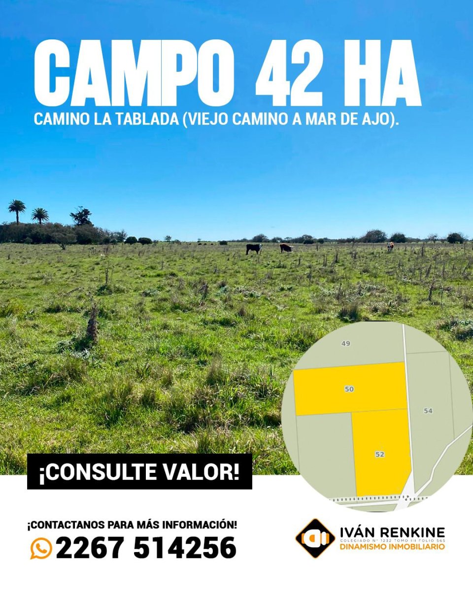 1 de 3