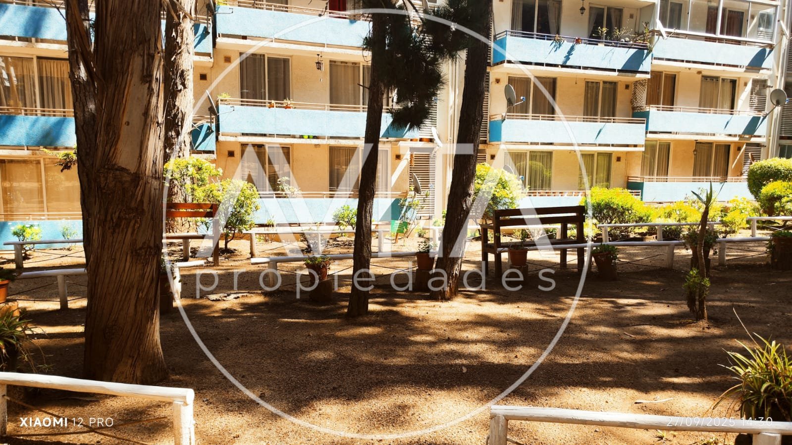 33 de 46