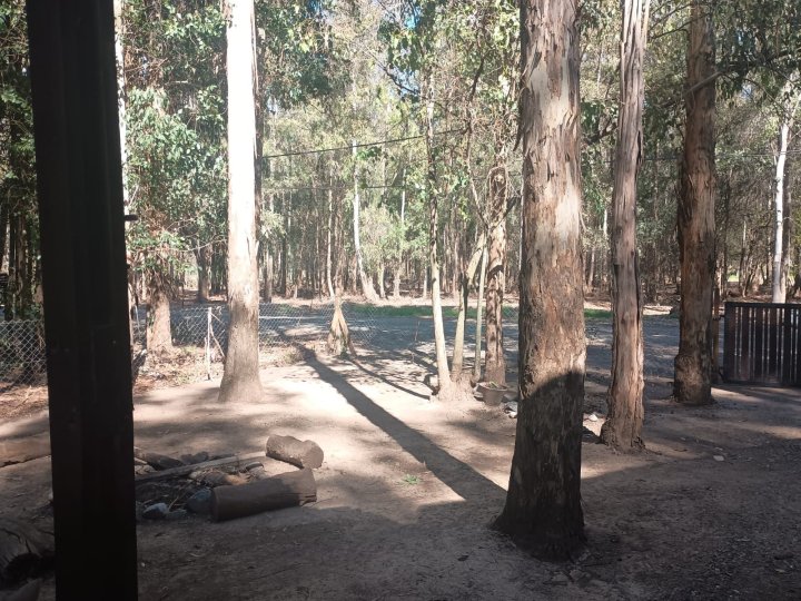 Casas - Iriondo - Alquiler