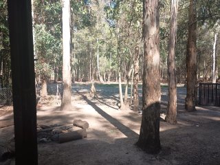 Casas - Iriondo - Alquiler