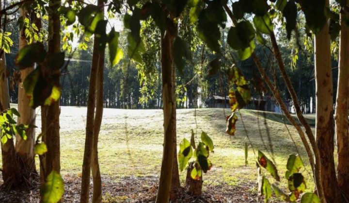 Casas - Iriondo - Alquiler