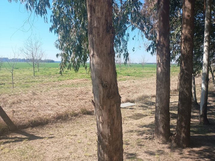 Casas - Iriondo - Alquiler