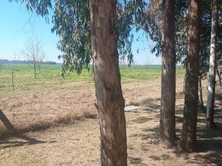 Casas - Iriondo - Alquiler