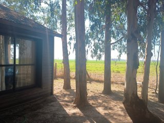 Casas - Iriondo - Alquiler