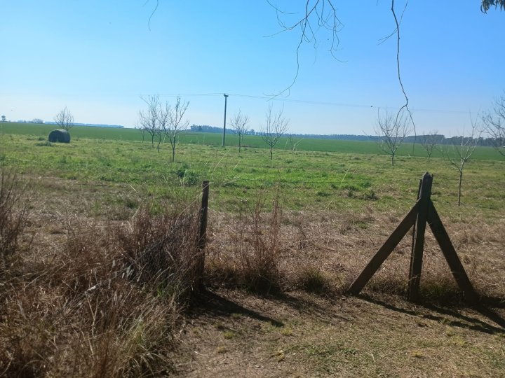 Casas - Iriondo - Alquiler