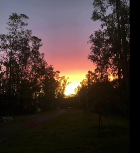 Casas - Iriondo - Alquiler