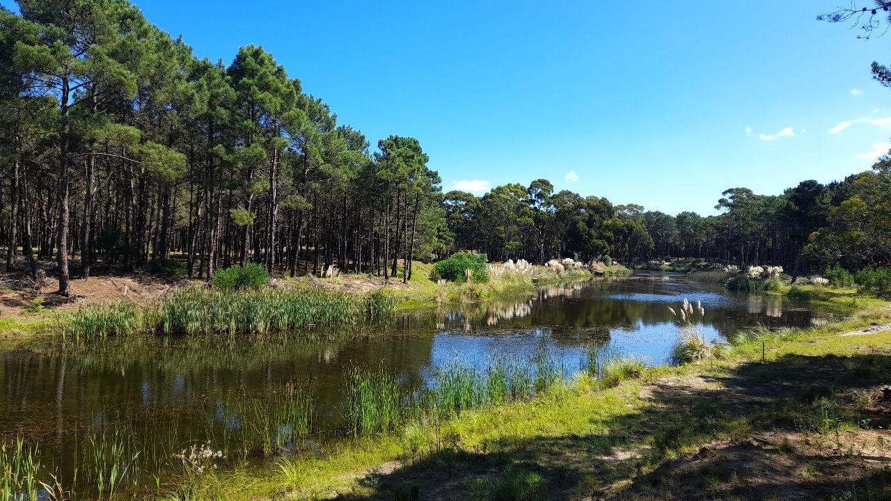 Pegada a laguna - 3 de 5