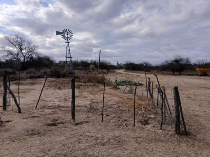 Campos - Otra Ciudad - Venta