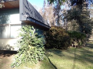 Casas - Iriondo - Venta