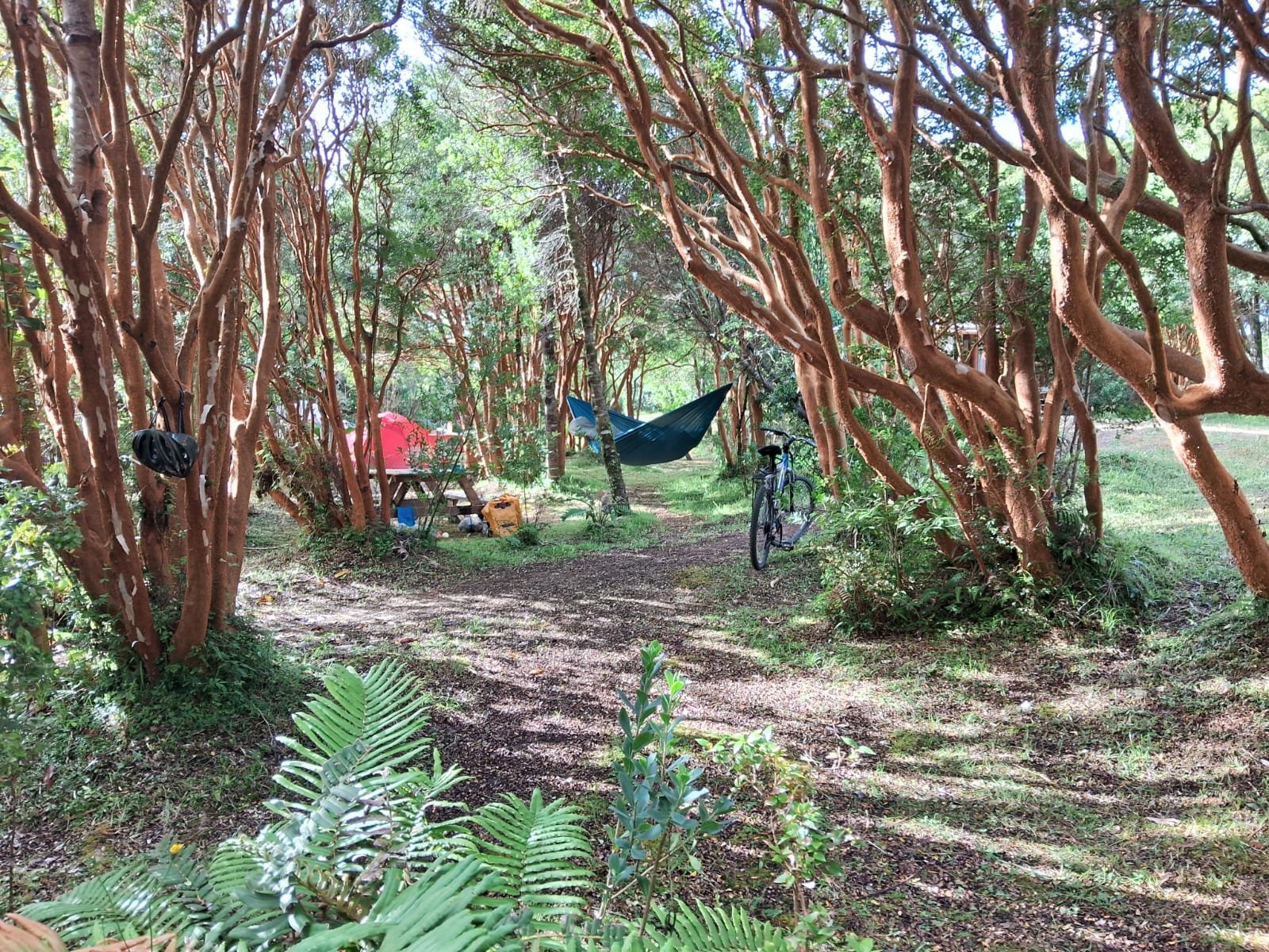 Venta Terreno Los Lagos - Los Ríos