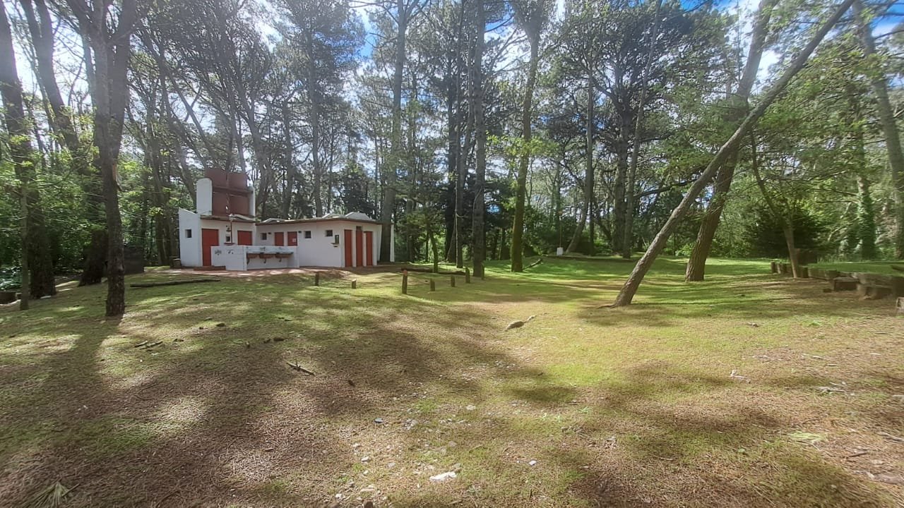 26 de 29