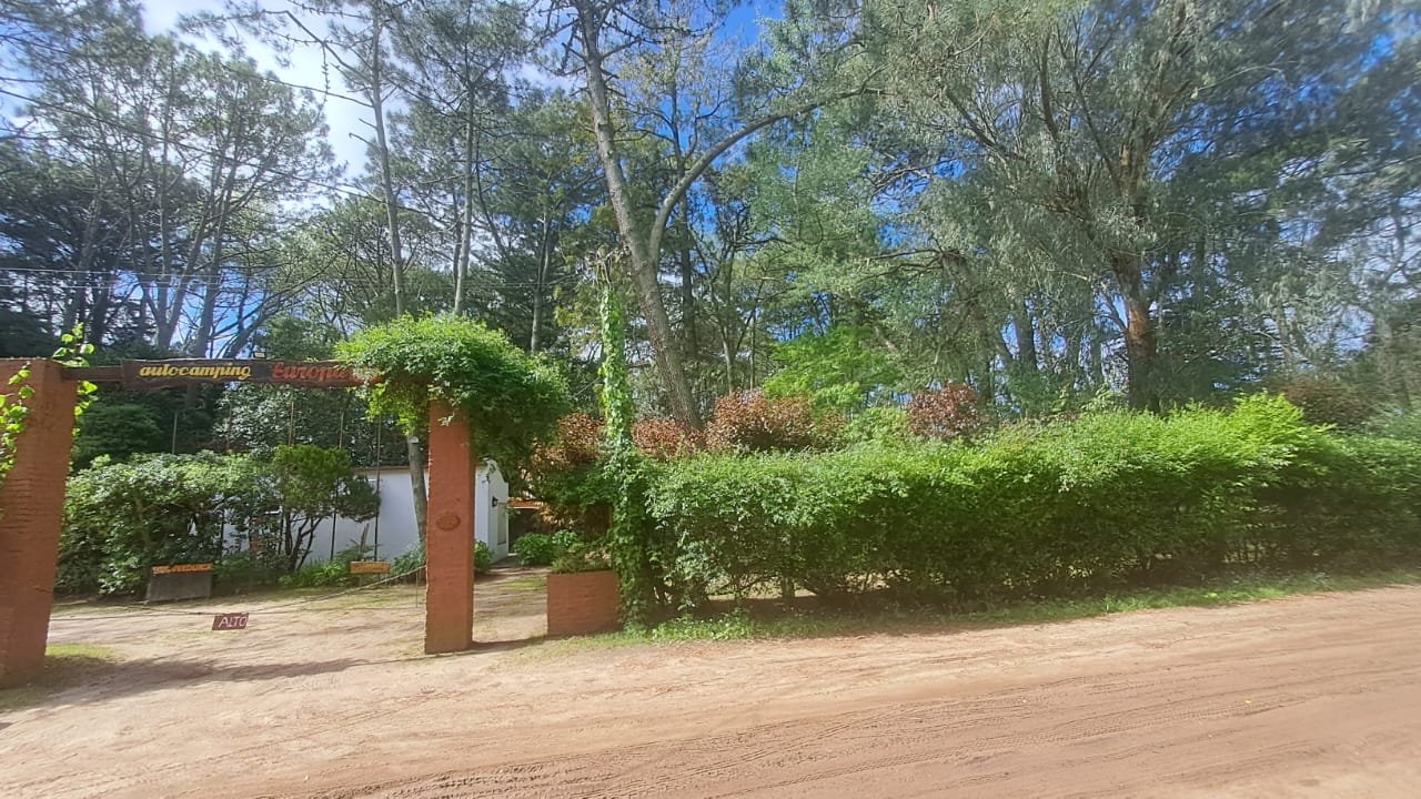 3 de 29