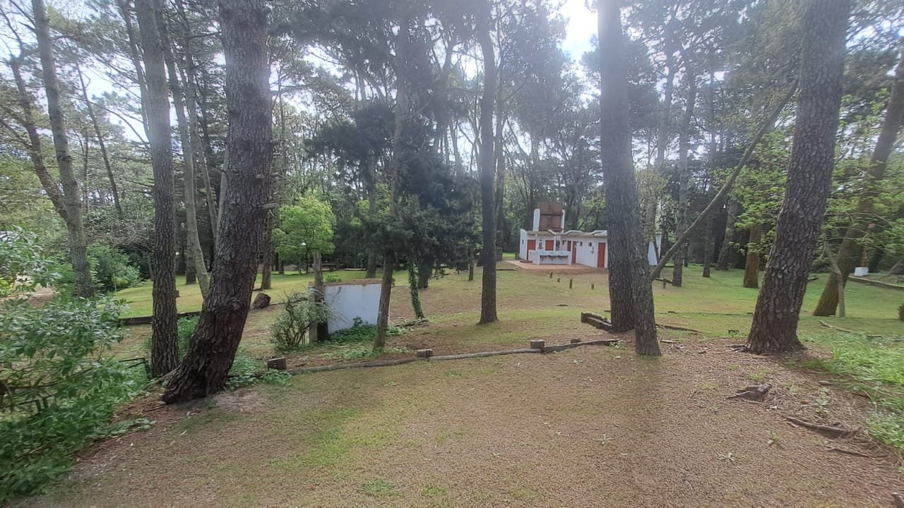 25 de 29
