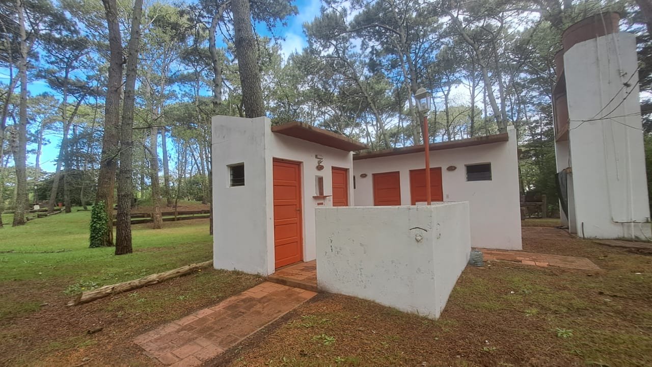 24 de 29